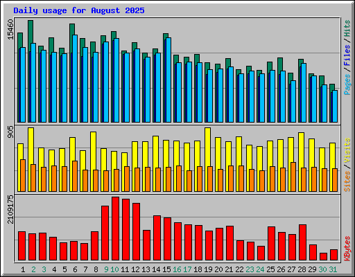 Daily usage for August 2025