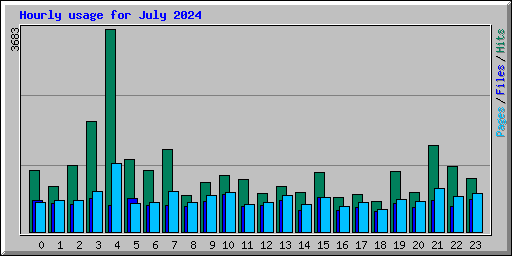 Hourly usage for July 2024