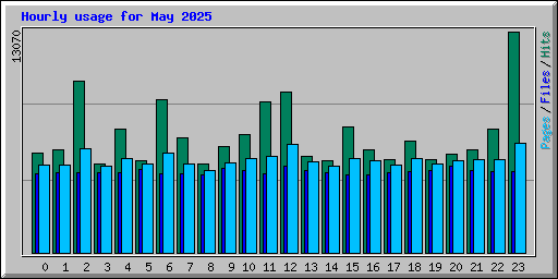 Hourly usage for May 2025