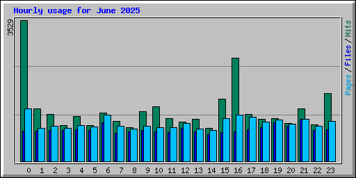 Hourly usage for June 2025