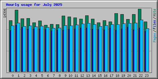 Hourly usage for July 2025