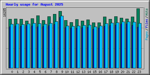 Hourly usage for August 2025