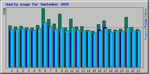 Hourly usage for September 2025