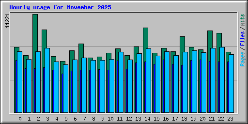 Hourly usage for November 2025