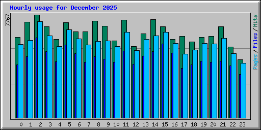 Hourly usage for December 2025