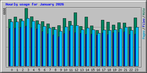 Hourly usage for January 2026
