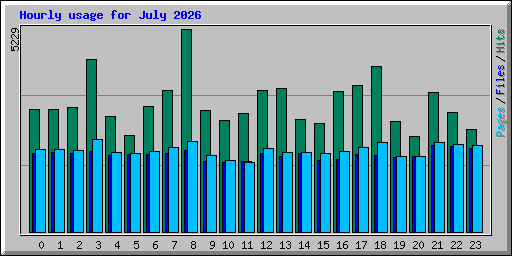 Hourly usage for July 2026